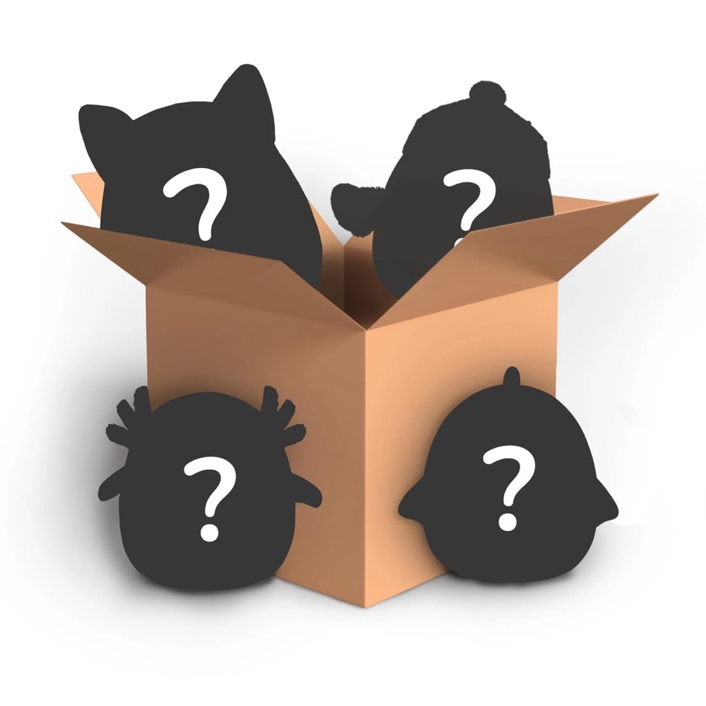 Squishmallow Surprise Box
